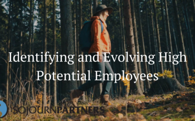 Identifying and Evolving High Potential Employees