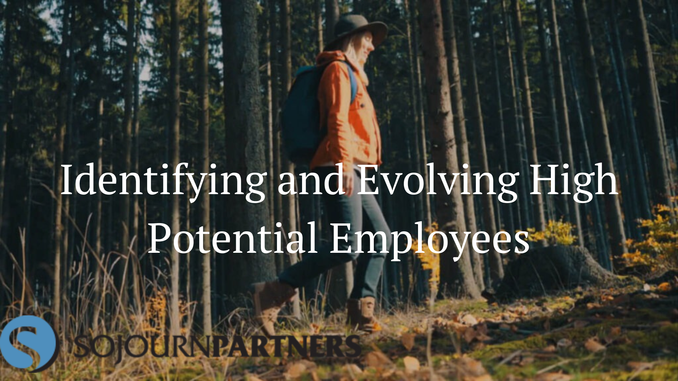 Identifying and Evolving High Potential Employees